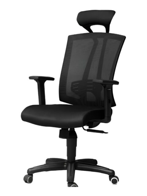 007 Manager Ergonomic Chair