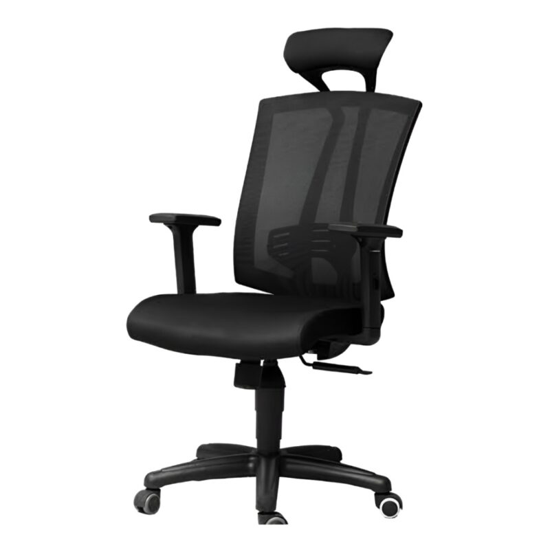 007 Manager Ergonomic Chair