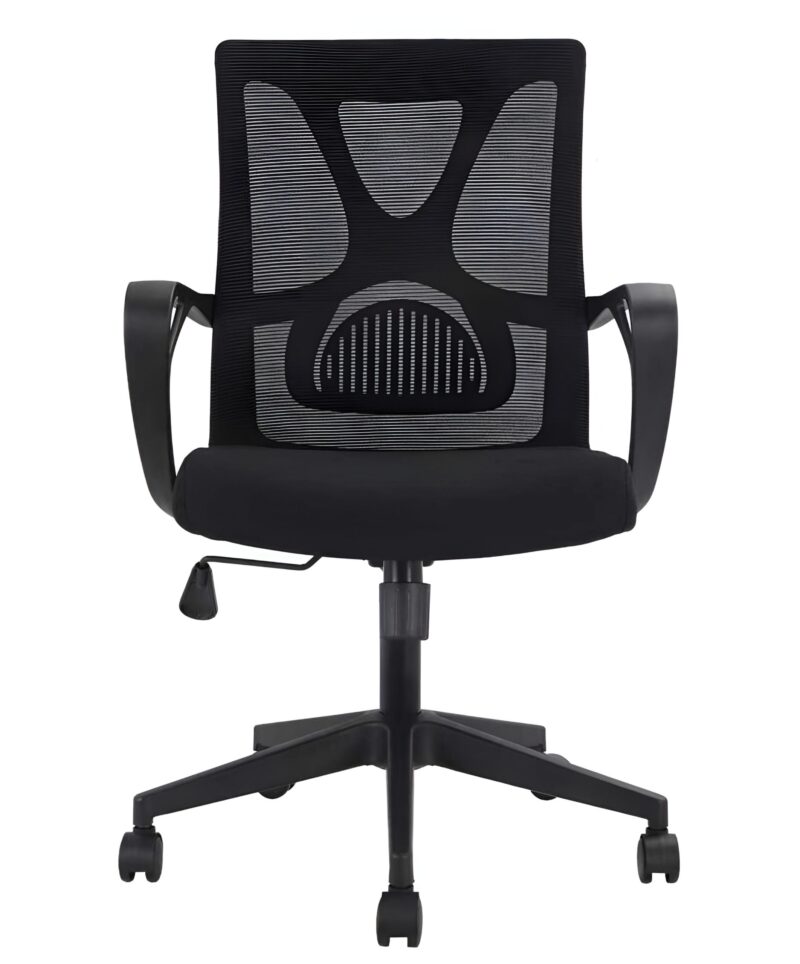 Cat Claw Ergonomic Chair - Wide High Quality Mesh Build - Fix Armrests - Lumbar Back Support - Extra Back Support - Height Adjustment - 360 Degree Rotation - Imported