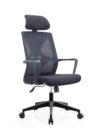 Cat Claw Pro Manager Ergonomic Chair - High Back Mesh Build With Adjustable Headrest- Fix Armrests - Lumbar Back Support - Height Adjustment - 360 Degree Rotation - Imported