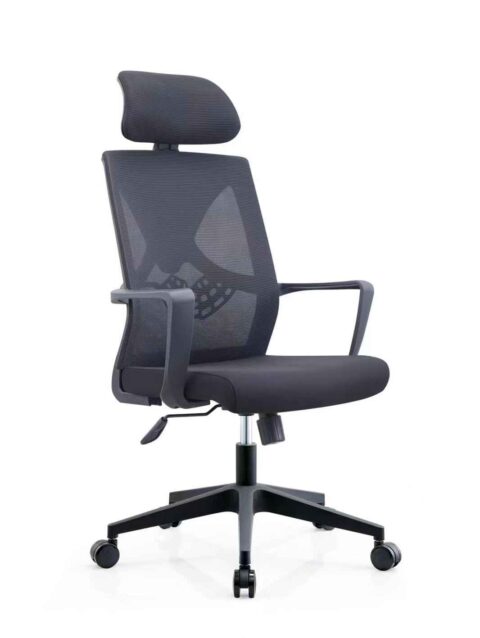 Cat Claw Pro Manager Ergonomic Chair - High Back Mesh Build With Adjustable Headrest- Fix Armrests - Lumbar Back Support - Height Adjustment - 360 Degree Rotation - Imported