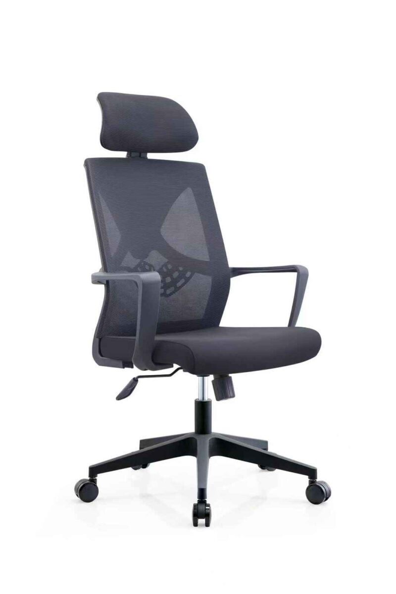 Cat Claw Pro Manager Ergonomic Chair - High Back Mesh Build With Adjustable Headrest- Fix Armrests - Lumbar Back Support - Height Adjustment - 360 Degree Rotation - Imported