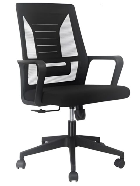 Code-r Ergonomic Chair - Wide High Quality Mesh Build - Fix Armrests - Lumbar Back Support - Height Adjustment - 360 Degree Rotation - Imported