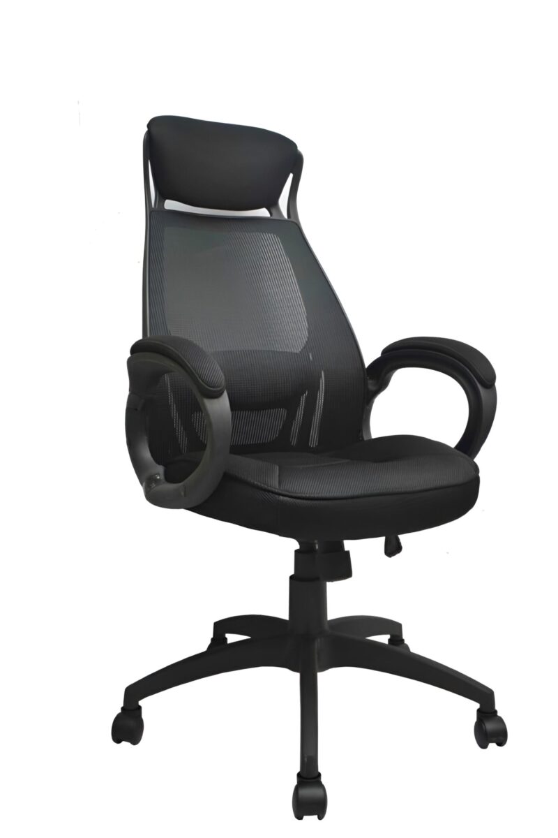 Goldilocks Manager Ergonomic Chair - High Back Mesh Build With Adjustable Headrest- Adjustable Armrests - Lumbar Back Support - Height Adjustment - 360 Degree Rotation - Importe