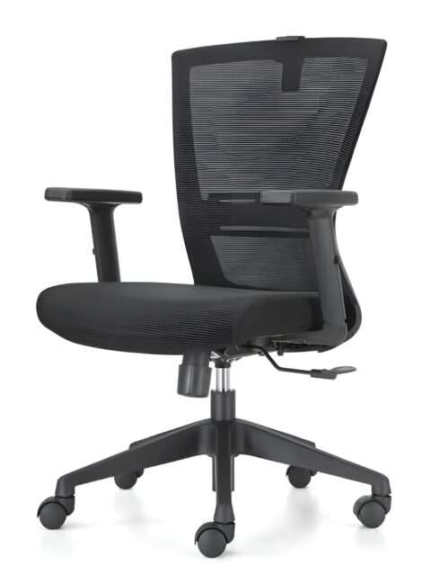 Goldilocks Manager Ergonomic Chair - High Back Mesh Build With Adjustable Headrest- Adjustable Armrests - Lumbar Back Support - Height Adjustment - 360 Degree Rotation - Importe