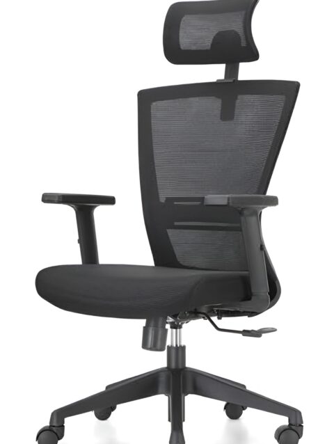 Goldilocks Manager Ergonomic Chair - High Back Mesh Build With Adjustable Headrest- Adjustable Armrests - Lumbar Back Support - Height Adjustment - 360 Degree Rotation - Importe