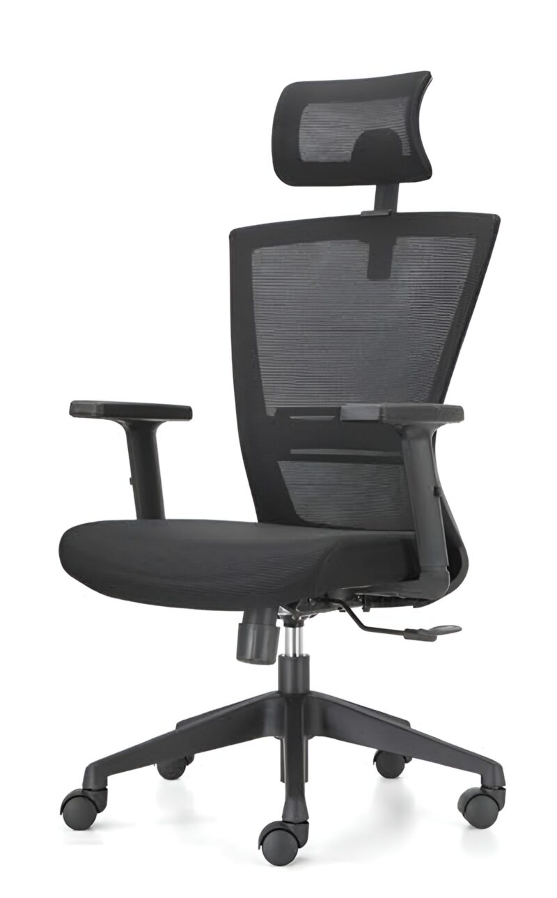 Goldilocks Manager Ergonomic Chair - High Back Mesh Build With Adjustable Headrest- Adjustable Armrests - Lumbar Back Support - Height Adjustment - 360 Degree Rotation - Importe